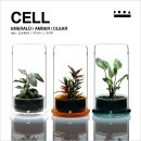 画像: ADA 植物を楽しむガラスポット　DOOA「CELL」入荷しました。