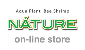 画像: 熱帯魚、水草、ベタ、フグ、イモリ、侘び草、水草の森など入荷しました。