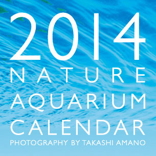 画像: ADA 2014'ネイチャーアクアリウムカレンダー入荷しました。