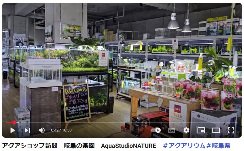 画像: 「YouTube」でNATUREを紹介していただきました。